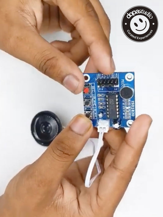 EchoBox Art - A Talking Sculpture Workshop