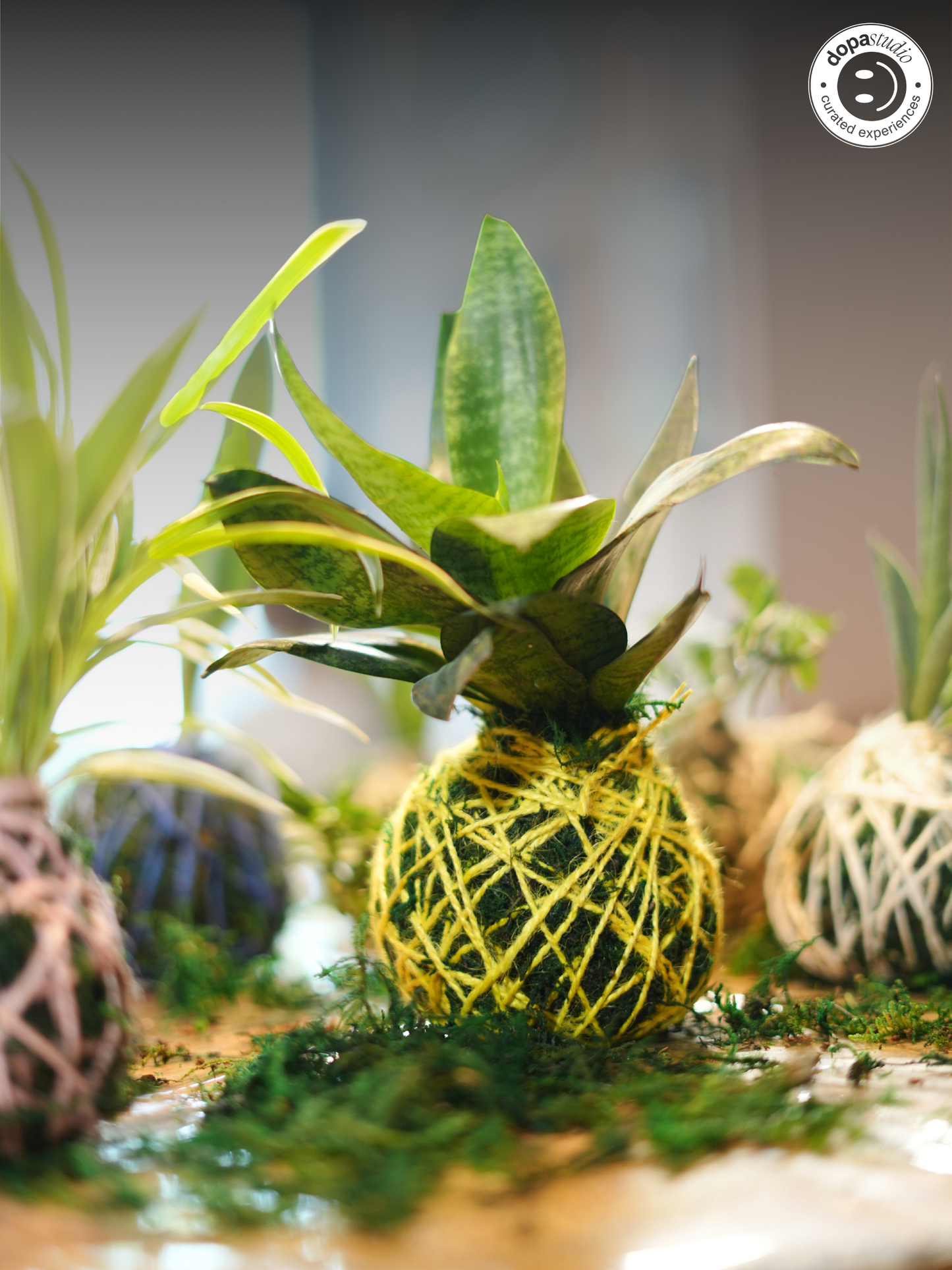 Earth & Hands - The Art of Japanese Moss Ball Making (Kokedama)