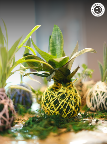 Earth & Hands - The Art of Japanese Moss Ball Making (Kokedama)